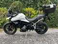 Triumph Tiger 900 Tiger 900 LOW Bianco - thumbnail 5