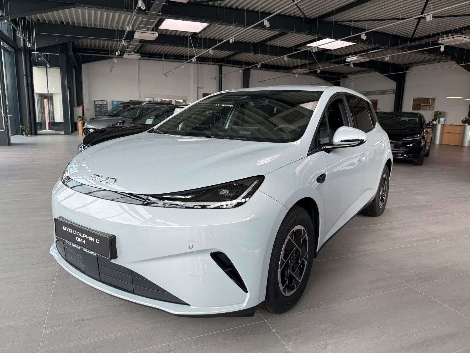 BYD Dolphin occasion