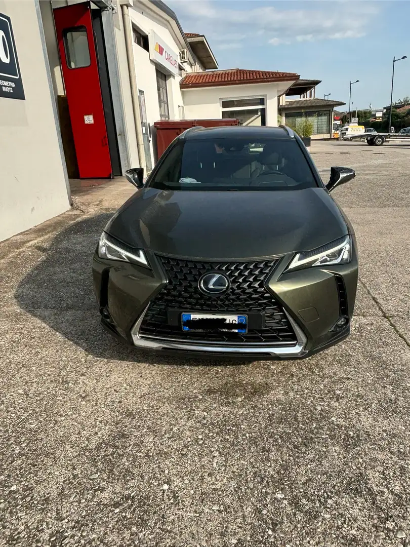 Lexus UX 250h - 1