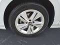 Volkswagen Golf Variant 1.5 TSI # LIFE # ANSCHLUSSGARANTIE Weiß - thumbnail 9