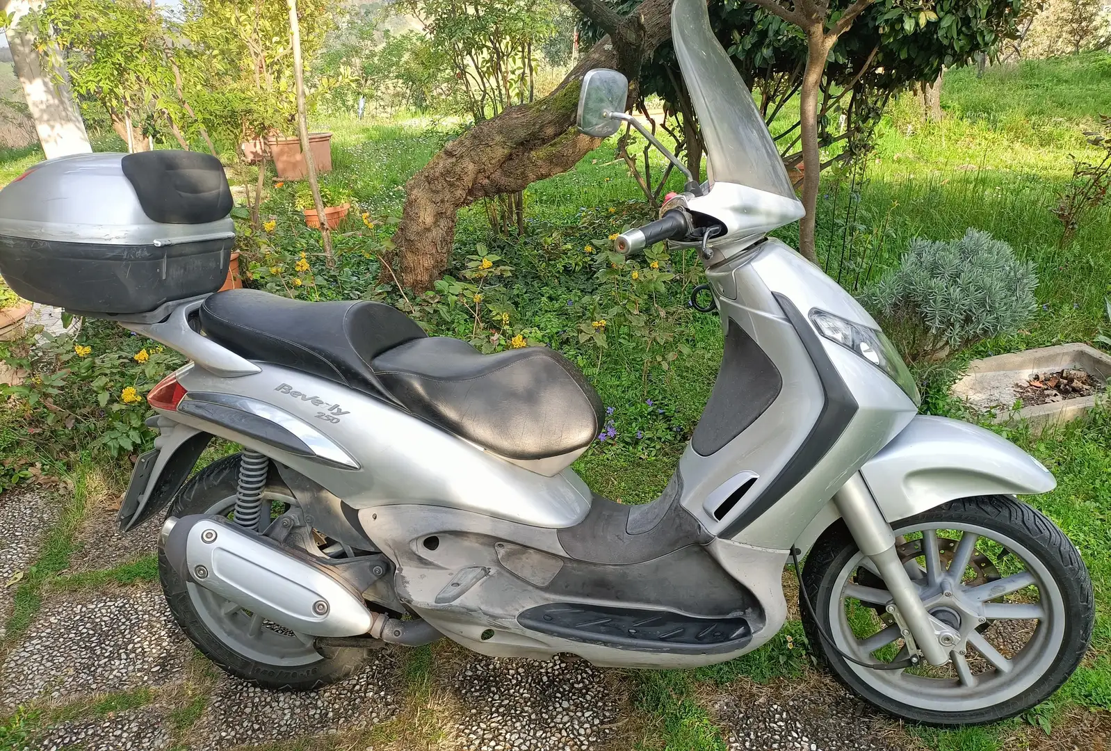 Piaggio Beverly 250 Gri - 1