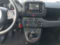 Fiat Panda 4x2 FireFly Hybrid 70 Blau - thumbnail 9