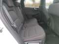 Ford Kuga ST-Line 2.5 DuraTec PHEV Autom. Alb - thumbnail 19