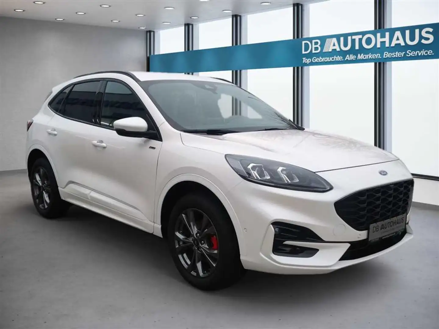 Ford Kuga ST-Line 2.5 DuraTec PHEV Autom. Alb - 2