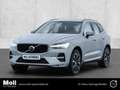 Volvo XC60 Core 2WD Digitales Cockpit Soundsystem LED Kurvenl Grau - thumbnail 1