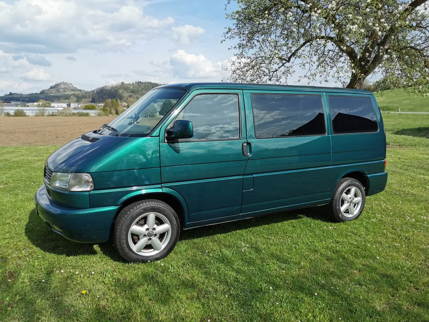Volkswagen T4 Verde - 2