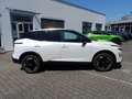 Nissan Qashqai 1.3 DIG-T MHEV N-Connecta 360 FLA HUD Wit - thumbnail 5