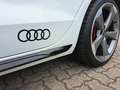 Audi A4 Avant S line 40 TDI quattro S tronic NAV KAM 19" Weiß - thumbnail 24