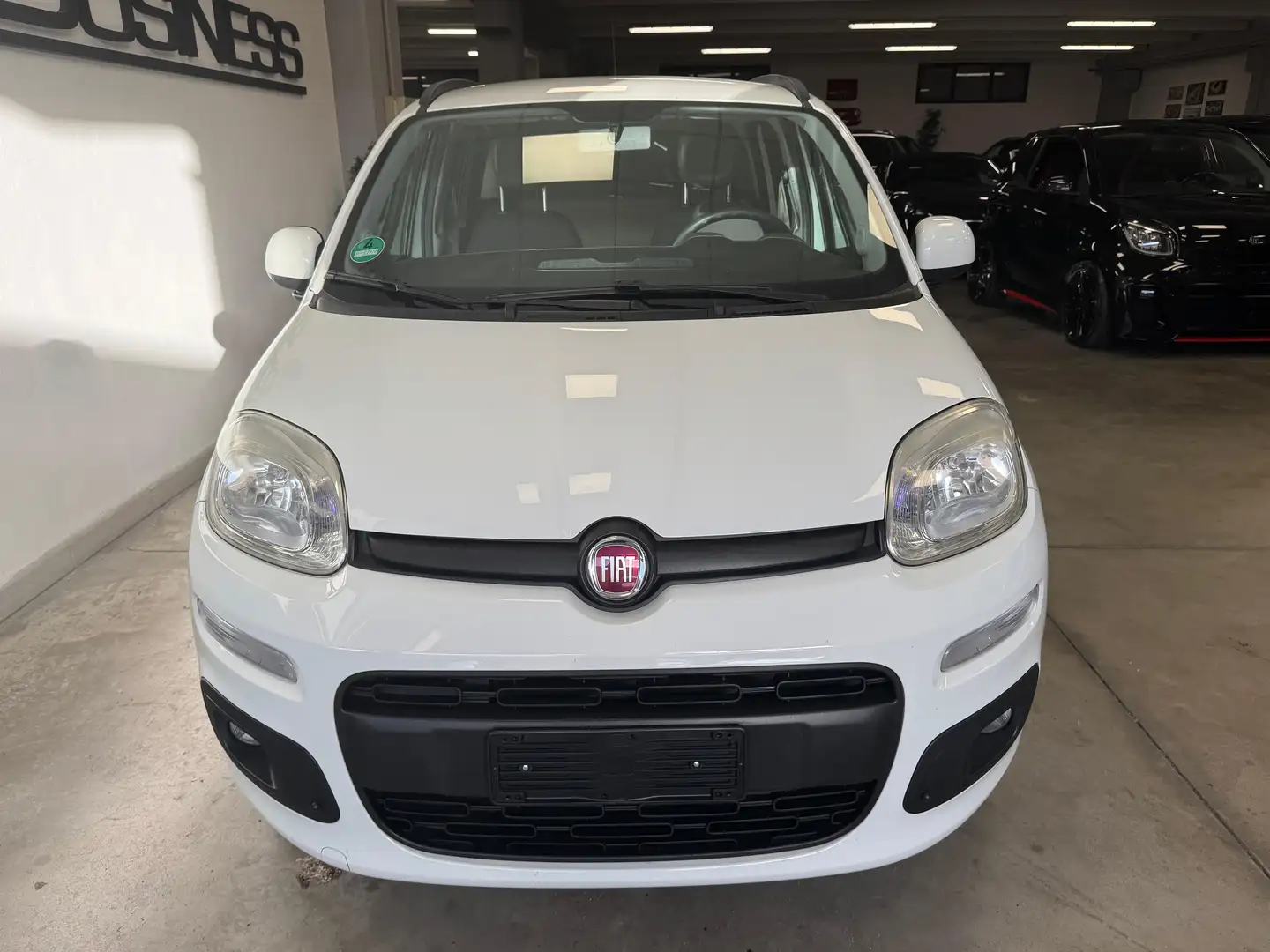 Fiat Panda 1.2 Lounge 69cv E6 full optional Garanzia 12 mesi Bianco - 2