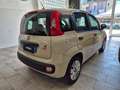 Fiat Panda Panda III 2016 1.2 Easy 69cv Beige - thumbnail 5