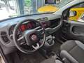 Fiat Panda Panda III 2016 1.2 Easy 69cv Beige - thumbnail 9