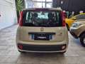 Fiat Panda Panda III 2016 1.2 Easy 69cv Beige - thumbnail 6