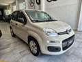Fiat Panda Panda III 2016 1.2 Easy 69cv Beige - thumbnail 4