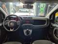 Fiat Panda Panda III 2016 1.2 Easy 69cv Beige - thumbnail 13