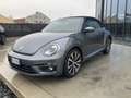 Volkswagen Maggiolino Cabrio 1.4 TSI DSG Sport Grau - thumbnail 3