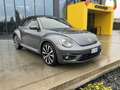 Volkswagen Maggiolino Cabrio 1.4 TSI DSG Sport Grau - thumbnail 34
