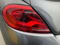 Volkswagen Maggiolino Cabrio 1.4 TSI DSG Sport Grau - thumbnail 21