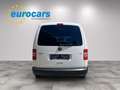 Volkswagen Caddy 1.6 TDI Weiß - thumbnail 5
