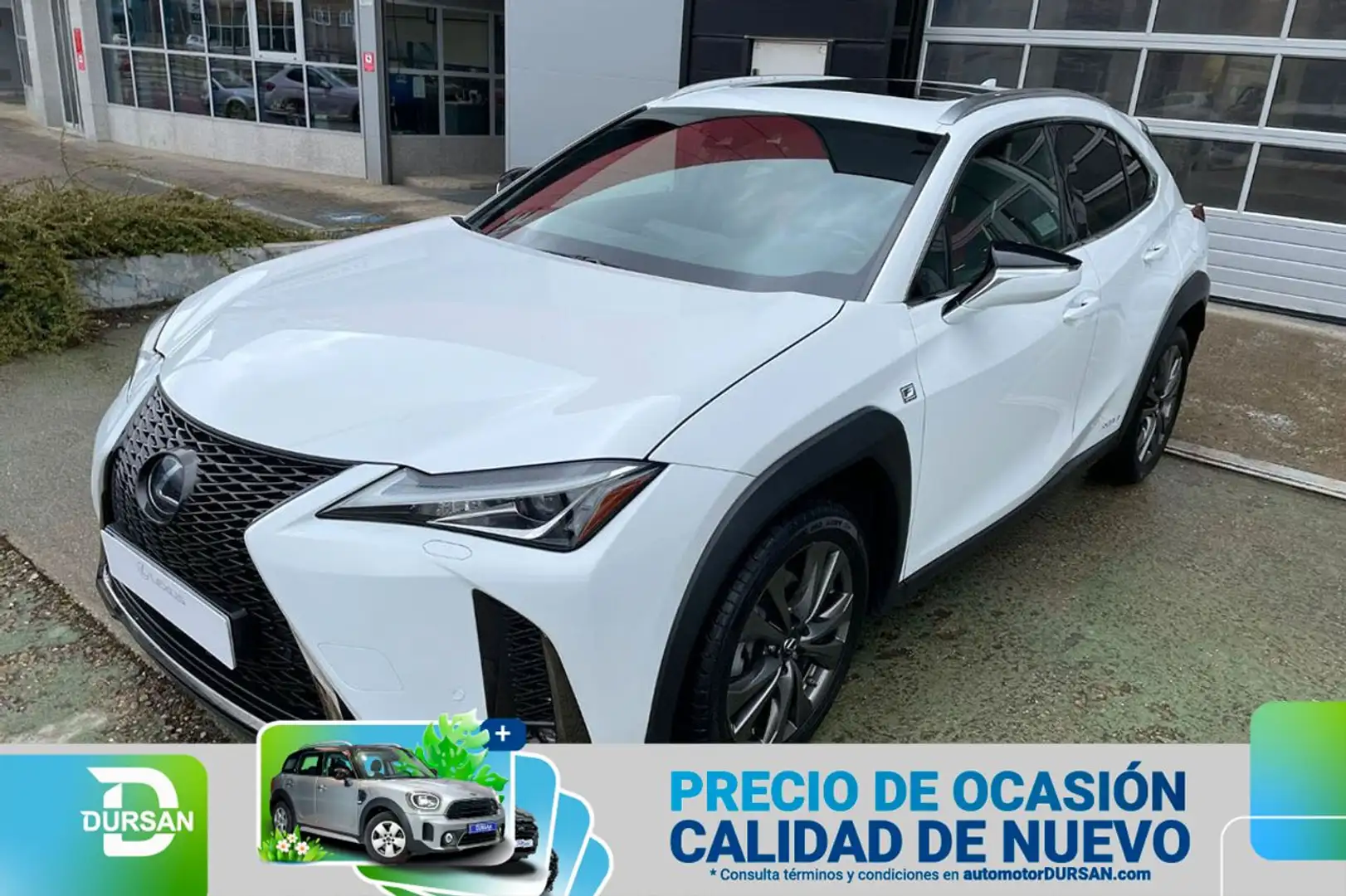 Lexus UX 250h 2.0 F- Sport Blanco - 1