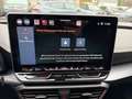 CUPRA Formentor VZ 2.0 TSI DSG 4Drive ACC AHK TopView Gris - thumbnail 11