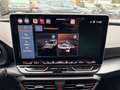 CUPRA Formentor VZ 2.0 TSI DSG 4Drive ACC AHK TopView Gris - thumbnail 12