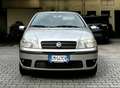 Fiat Punto Punto 1.2 5 porte Active Nero - thumbnail 2