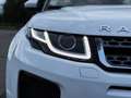Land Rover Range Rover Evoque 2.0TD4 SE Dynamic 4WD Aut. 150 Blanco - thumbnail 11