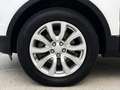 Land Rover Range Rover Evoque 2.0TD4 SE Dynamic 4WD Aut. 150 Blanco - thumbnail 13