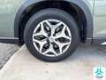 Subaru Forester 2.0i Hybrid Executive CVT Grau - thumbnail 14