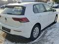Volkswagen Golf VIII 1.0 TSI EURO 6d App-Connect Lenkradheizung A Weiß - thumbnail 6