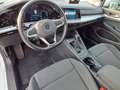 Volkswagen Golf VIII 1.0 TSI EURO 6d App-Connect Lenkradheizung A Weiß - thumbnail 13
