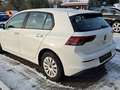 Volkswagen Golf VIII 1.0 TSI EURO 6d App-Connect Lenkradheizung A Weiß - thumbnail 4