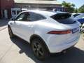 Jaguar E-Pace E-PACE Sport2,0 AWD/Leder/SitzH/Navi/Kamera/Pano Weiß - thumbnail 5