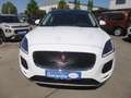 Jaguar E-Pace E-PACE Sport2,0 AWD/Leder/SitzH/Navi/Kamera/Pano Weiß - thumbnail 8