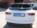 Jaguar E-Pace E-PACE Sport2,0 AWD/Leder/SitzH/Navi/Kamera/Pano Weiß - thumbnail 4