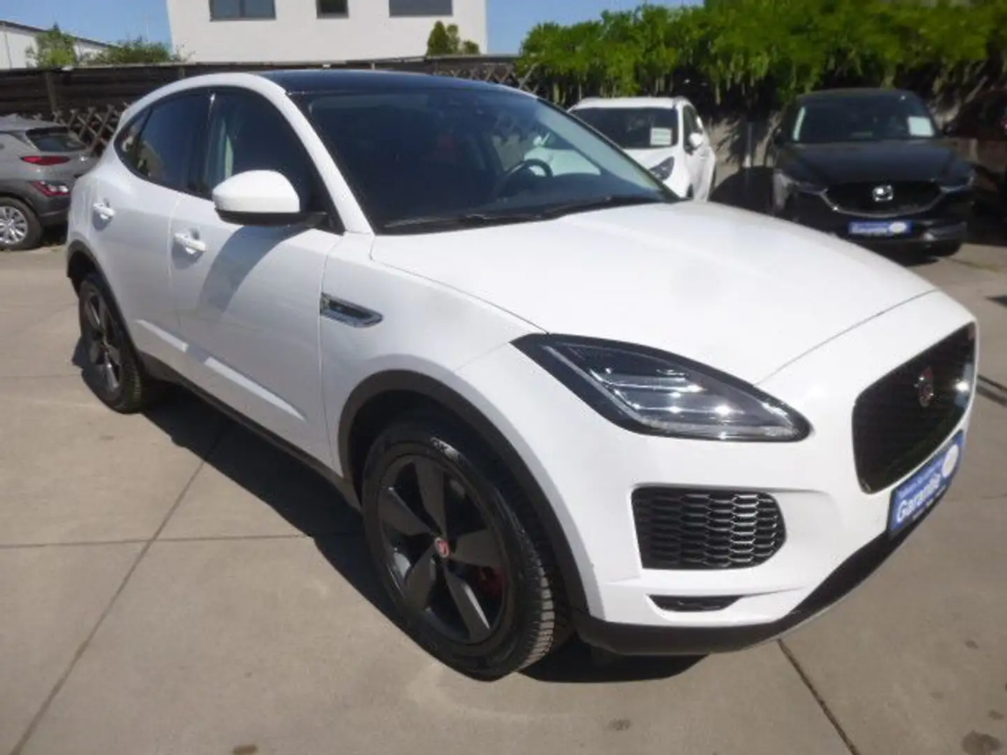 Jaguar E-Pace E-PACE Sport2,0 AWD/Leder/SitzH/Navi/Kamera/Pano Weiß - 1