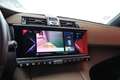 DS Automobiles DS 7 Crossback E-Tense 300 4x4 Business CAMERA GPS Wit - thumbnail 10