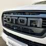 Foton Tunland G7 Tunland G7 2.0 TDI Doppia Cabina 4WD VARI COLORI Blanc - thumbnail 35