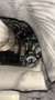 Volkswagen Golf Plus Trendline 1,9 TDI - thumbnail 10