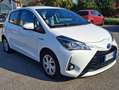 Toyota Yaris Yaris 5p 1.5h businnes Blanc - thumbnail 7