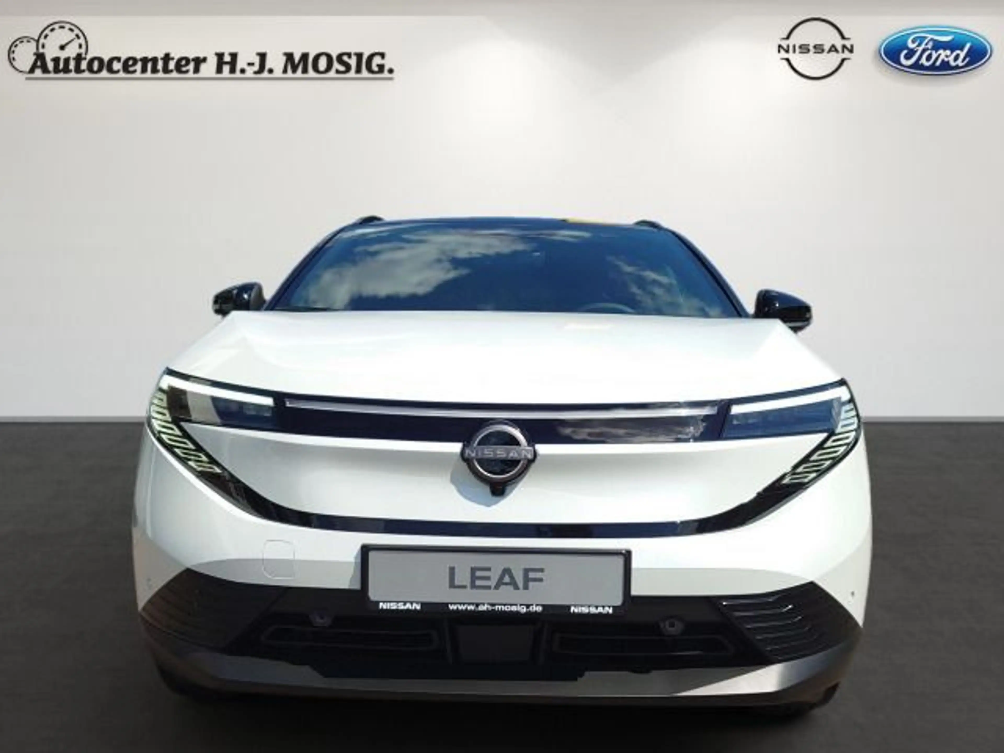 Nissan Leaf 75kWh Advance *Jetzt NEU* — photo 3