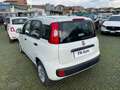 Fiat Panda 1.3 MJT 95 CV Easy White - thumbnail 9