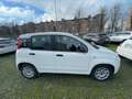 Fiat Panda 1.3 MJT 95 CV Easy Wit - thumbnail 17