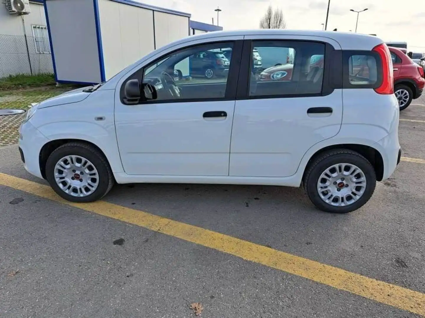 Fiat Panda 1.3 MJT 95 CV Easy Білий - 2