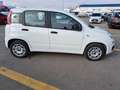 Fiat Panda 1.3 MJT 95 CV Easy Blanco - thumbnail 4