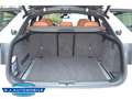 BMW X6 xDrive 30 d ,M-Sport,Schiebed.,Winterpaket Weiß - thumbnail 18