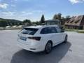 Skoda Octavia Combi 2,0 TDI Ambition DSG *VERKAUFT* Weiß - thumbnail 7