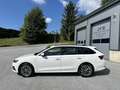 Skoda Octavia Combi 2,0 TDI Ambition DSG *VERKAUFT* Weiß - thumbnail 10