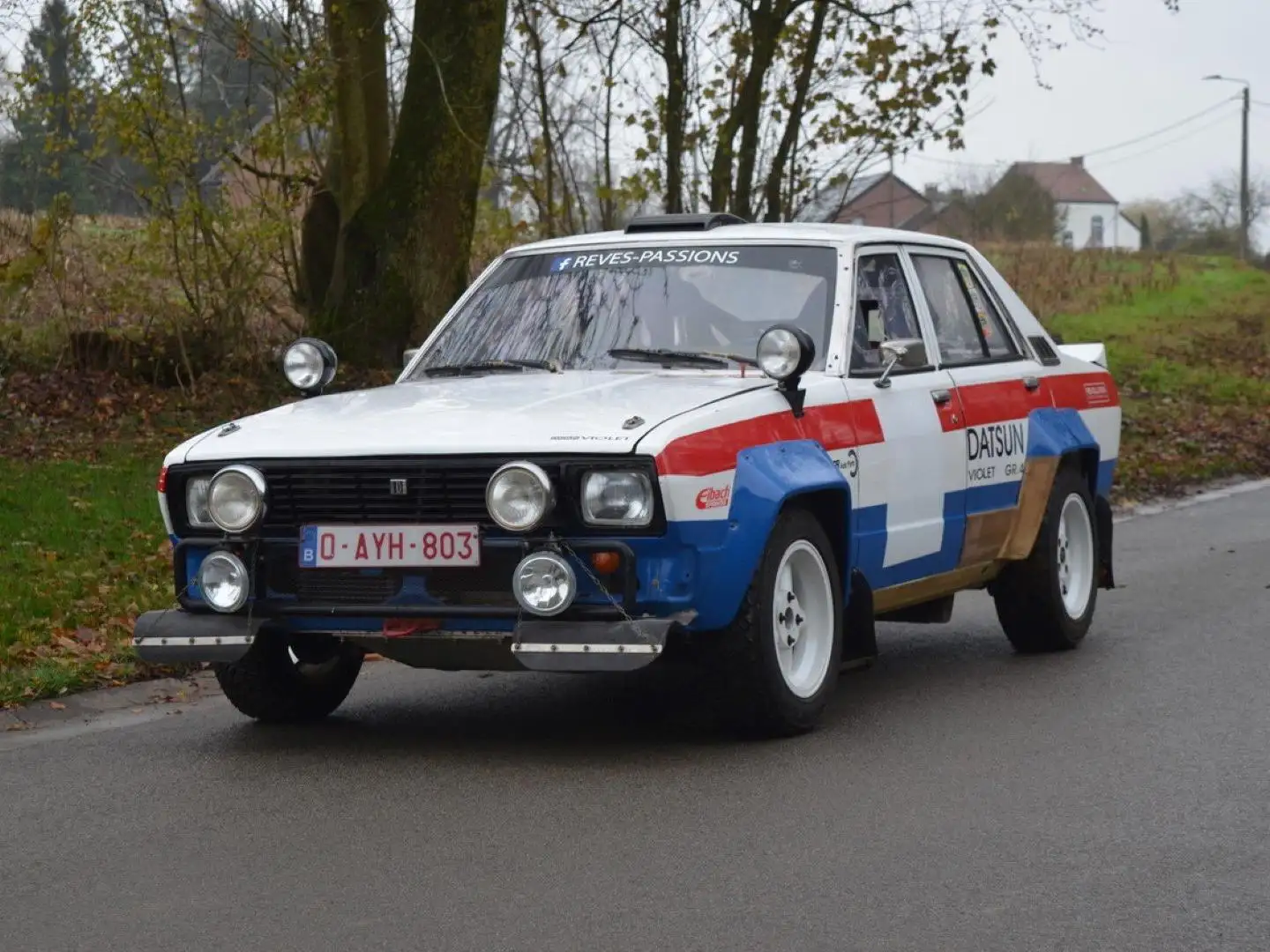 Sonstige Marken Sonstige 1978 Datsun Violet Group 4 Rally car Weiß - 1