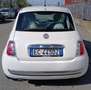 Fiat 500 1,2 benzina lounge bianca km 41000 neopatentati Weiß - thumbnail 4